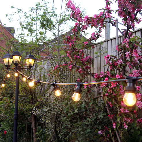 Festoon Lighting 230v
